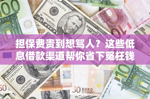 济南担保费贵到想骂人？这些低息借款渠道帮你省下冤枉钱