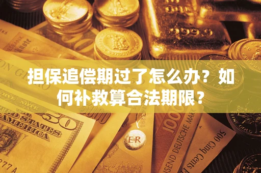 济南担保追偿期过了怎么办？如何补救算合法期限？