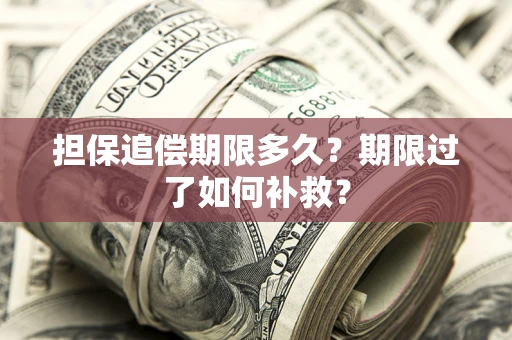 济南担保追偿期限多久？期限过了如何补救？