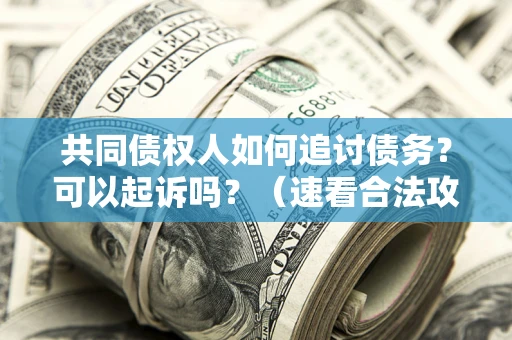 济南共同债权人如何追讨债务？可以起诉吗？（速看合法攻略）