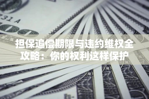 济南担保追偿期限与违约维权全攻略：你的权利这样保护