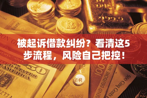 济南被起诉借款纠纷？看清这5步流程，风险自己把控！